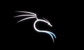 Hack Android Mobile Devices By Learning Kali Linux Hack Android Mobile Devices By Learning Kali Linux