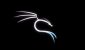 Hack Android Mobile Devices By Learning Kali Linux Hack Android Mobile Devices By Learning Kali Linux