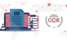 CCIE Training In Noida