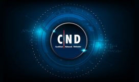 CND certification in Noida