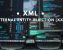 XML External Entity Injection (XXE)